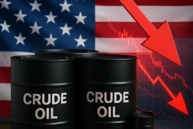 OIL