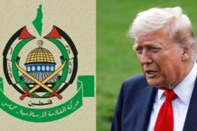 HAMAS