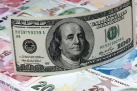 DOLAR-7