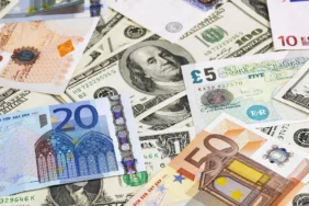 DOLAR-8