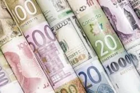 dolar