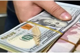 DOLAR
